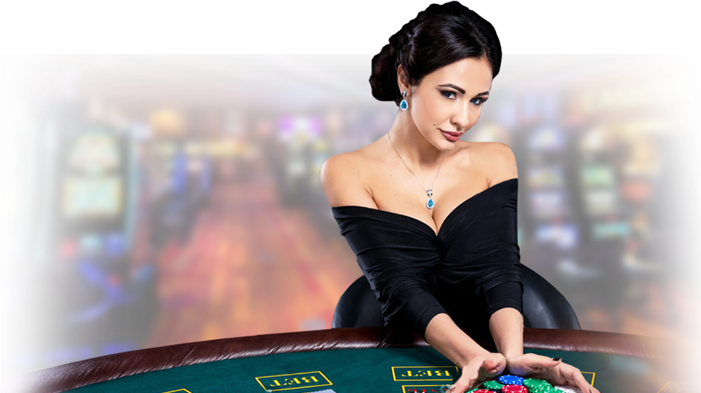 choise casino